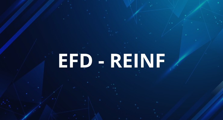 MEI: O Papel Vital do Contador na Era Digital e da EFD-Reinf